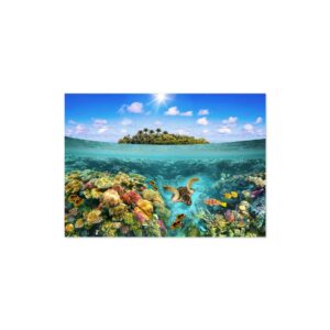 Cuadro arrecife marino