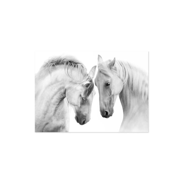 Cuadro caballos blancos