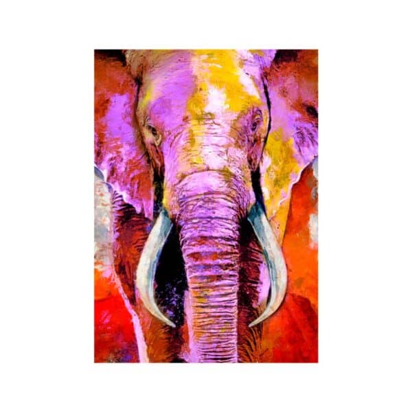 Cuadro Lienzo Elefante Colorido