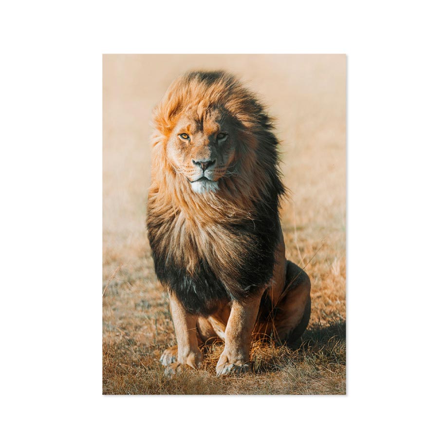 Cuadro Majestuoso León