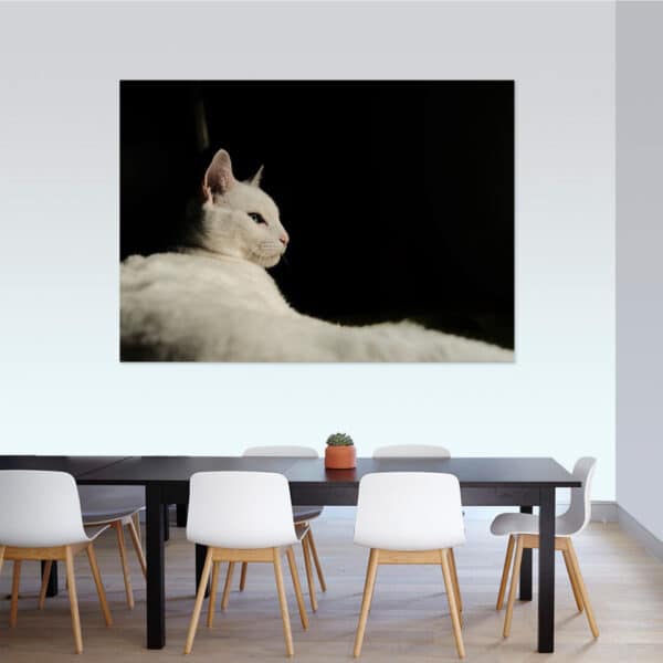 Cuadro Retrato Gato